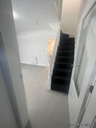 3 bedroom property to rent in Belfast - Photo 5