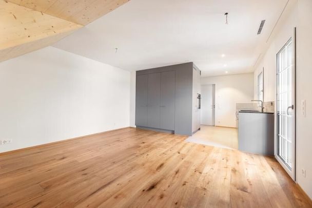 Unique living experience / new construction on Höri - Photo 1