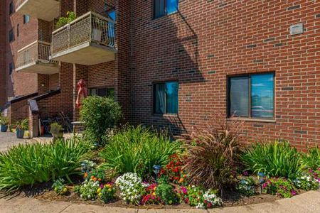 Oak Hill One Apartments - Photo 5