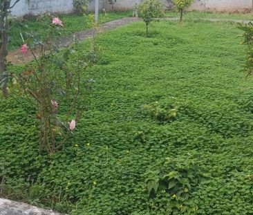 Ενοικίαση κατοικίας, 81 τ.μ., Καλύβια Θορικού, 750 € - Photo 5