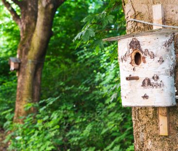 Eckersbacher Höhe 51 - Photo 5