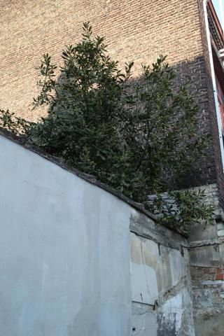 Huis te huur in Gent - Foto 5