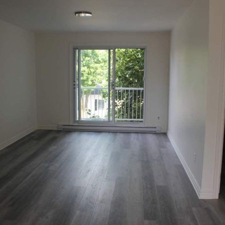 Logement 4 et demi - Vieux Longueuil - Photo 4