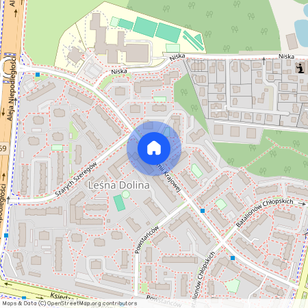 ul. Armii Krajowej, Leśna Dolina, Białystok, podlaskie