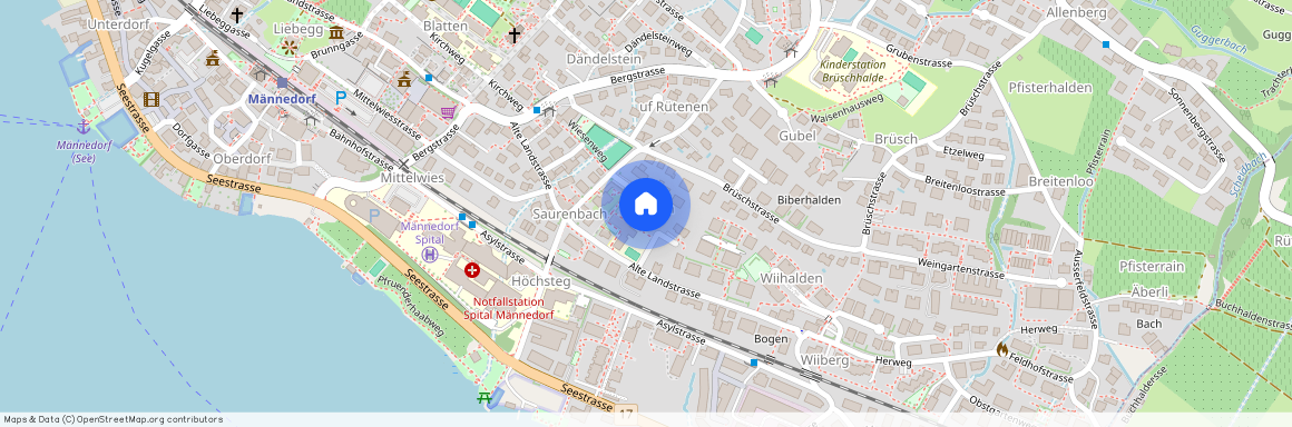 Im Wiesli 4, 8708, Männedorf