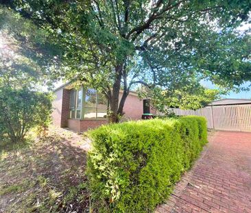 Comfortable Family Home in Great Location - Photo 6