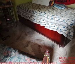 Μονοκατοικία για ενοικίαση - Λαμία, - Photo 6