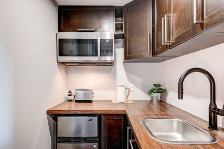 Condo à louer, Montréal (Ville-Marie) - Photo 2