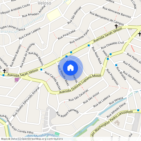 Rua das Palmeiras, Veloso, Osasco, SP, 06144200