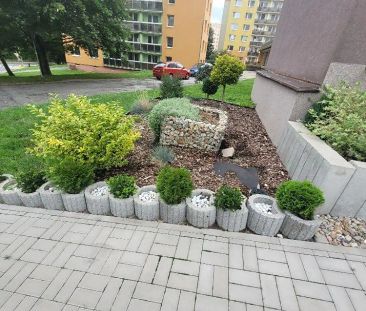 Pronájem bytu 1+kk 28 m² - Photo 6