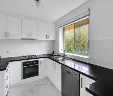 Stylish & Spacious Renovated Unit Overlooking Leafy Jeffcott Street - Photo 3