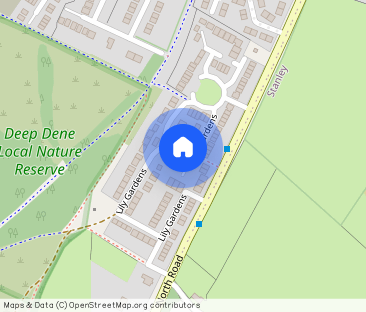 Lily Gardens Dipton, Stanley - Photo 1