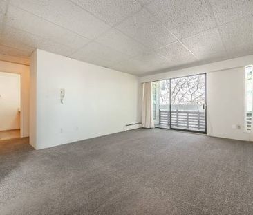 Rockalnd Heights - 1 Bedroom - Available February 1st - Photo 3