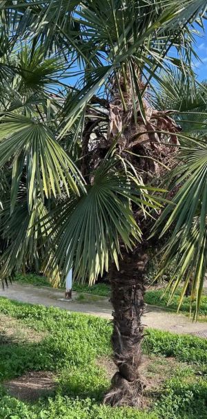 Appartement à louer 2 pièces 46.15m² - Photo 1