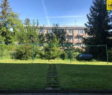 Pronájem bytu 1+1 v Olomouci, ulice Janáčkova - Фото 1
