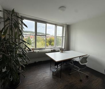 1 Zimmer, 240 m², 3. Stock - Photo 6