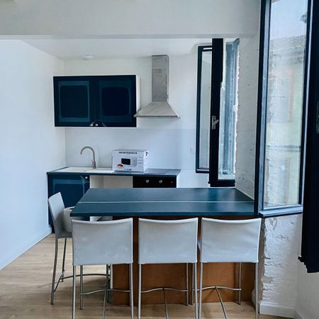 Appartement T2 Beaumont-de-Lomagne à louer - Photo 4