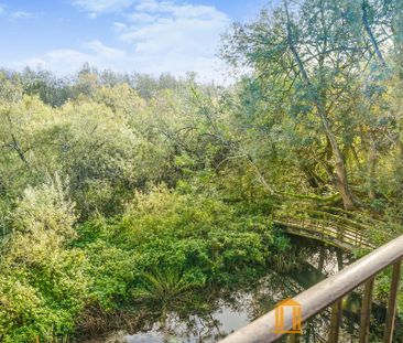 1 bedroom house to rent - Photo 5