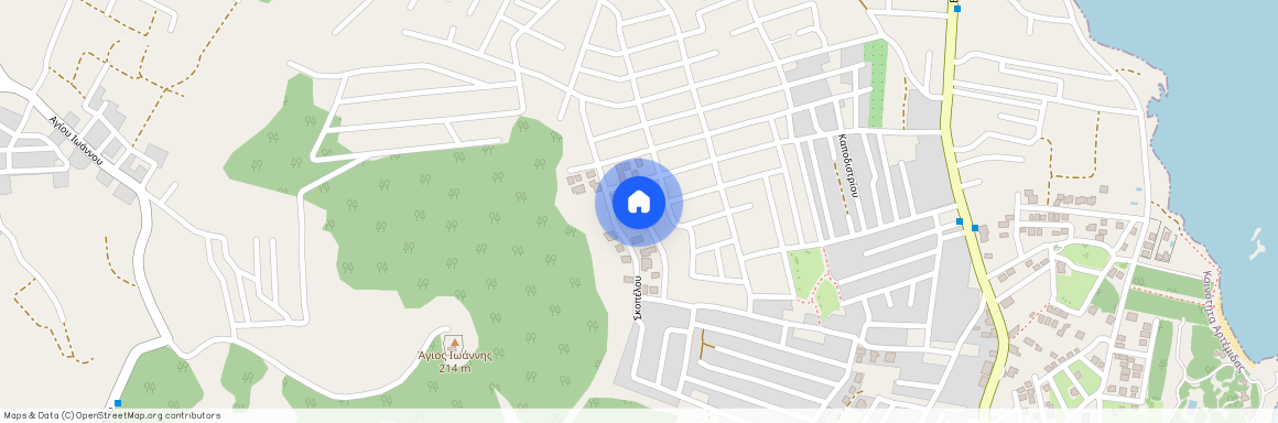 Μιαούλη, Αρτέμιδα 19016