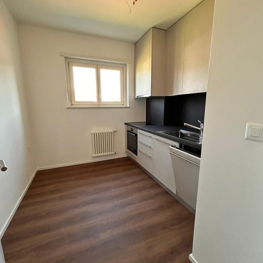 Appartamento 3.5 locali completamente ristrutturato a Mendrisio - Photo 1