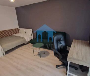 Apartament 1 camera, Plopilor - Fotografie 3