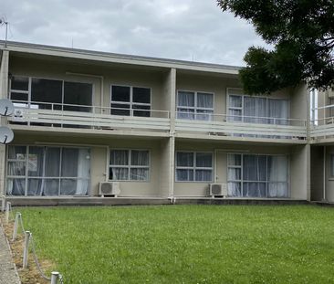 Tidy Flat in Hamilton East - Hamilton East - Photo 2