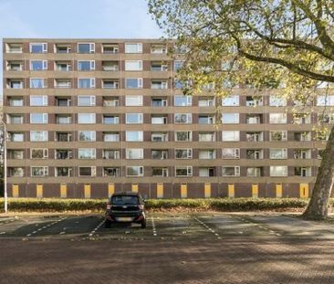 Fluitekruidweg 0ong, 1508 Zaandam, Nederland - Photo 2