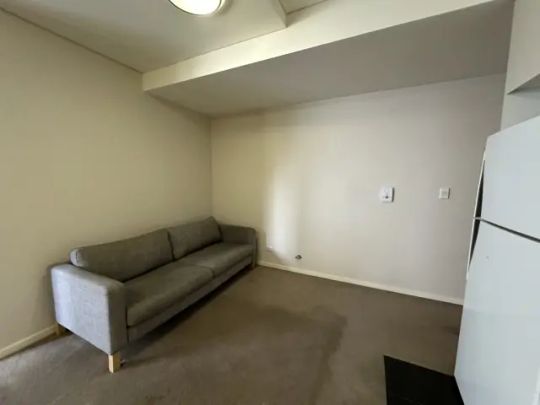 13 Joynton Avenue Zetland, Sydney - Photo 1