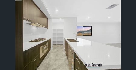 Beautiful Four-Bedroom Home in Manor Lakes - Photo 3