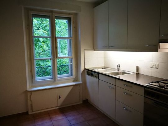 Stylish old building apartment - Foto 1