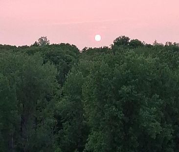 3 1/2 à louer Terrebonne Urbanova 1650$ Janvier 2026 - Photo 3