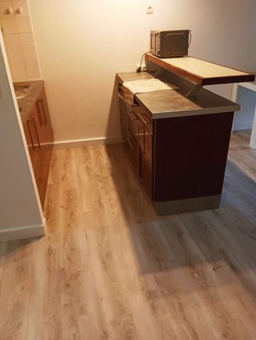Location Appartement 2 pièces 44m² - Photo 4