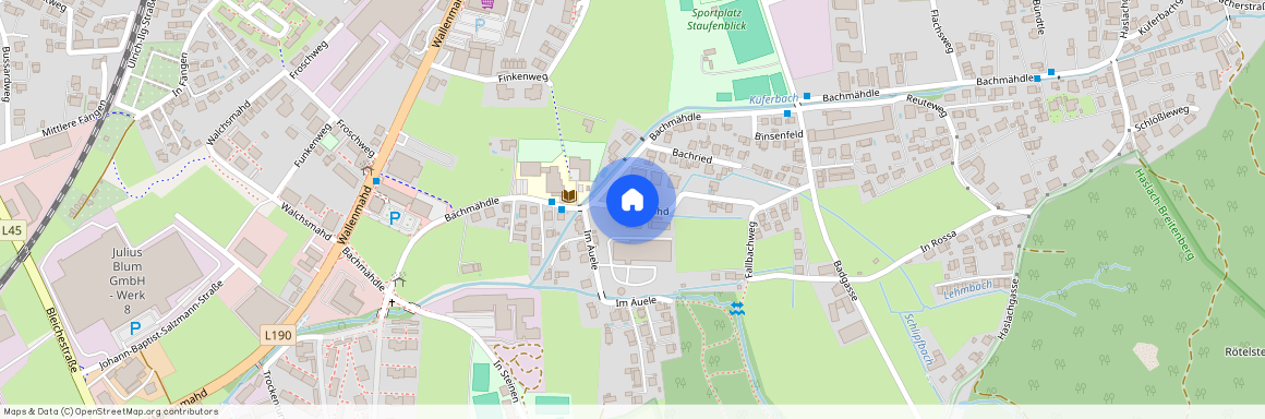 Winkelmahd, 8, Dornbirn