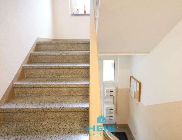 Gepflegte 3-Raum-Wohnung in sonnig ruhiger Lage - Photo 1