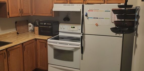 Recherche Coloc Dans Beau 4 1/2 - Photo 2