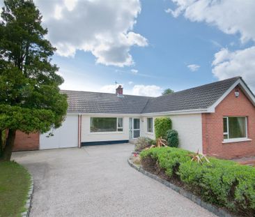 45 Croft Road, Holywood, BT18 0PR - Photo 5