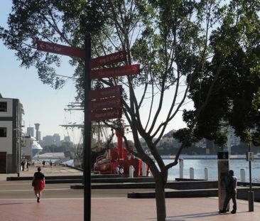 Unit 14/209 Harris Street, Pyrmont NSW 2009 - Apartment For Rent | ... - Photo 3