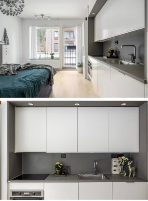 Gaffelseglet, Vega - Photo 1