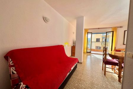 ​ FLAT FOR RENT ON THE FIRST LINE OF THE SEA IN TORREVIEJA - ALICANTE - Foto 5