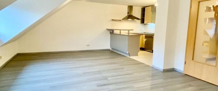 Charmante Wohnung mit inkl. extra Dachboden-Ausbau in Mühringen - Foto 1