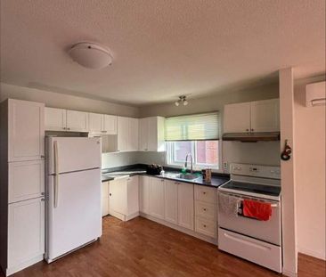 1 CH - 1 SDB - Sherbrooke - $980 /mo - Photo 3