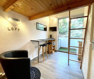 Location Appartement 1 pièce 13m² - Photo 3