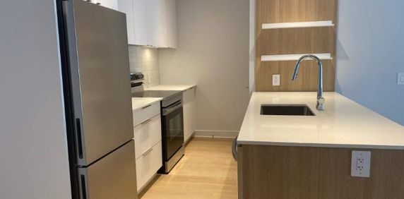 2 CH - 1 SDB - Montreal - $2,190 /mo - Photo 2