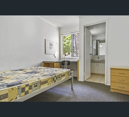 8 Varsityview Court, Sippy Downs, Qld 4556 - Photo 1