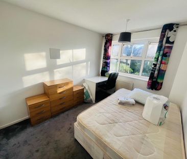 4 bedroom house share to rent - Photo 5