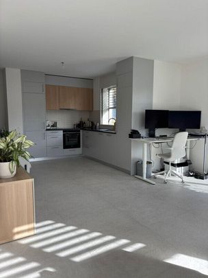 Rental renewal – 2.5 rooms (loft type), Grand-Saconnex (Rte de Ferney) at: - Photo 1