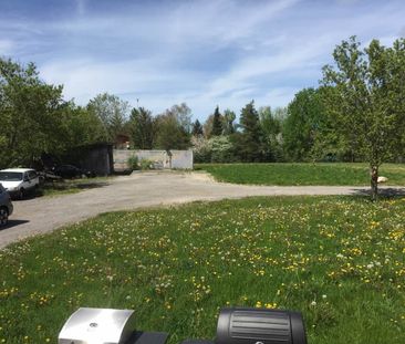 For Lease - 3358 Ravenshoe Road, Georgina, Ontario - Photo 4