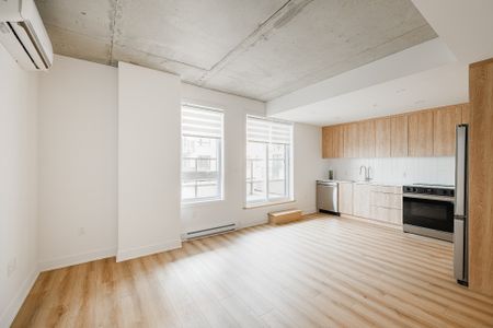 8510 Rue Jean-Nicolet, #E-502 - Photo 5