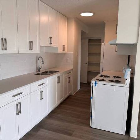 2-Bedroom Fully Renovated close to SkyTrain (Lougheed) - Photo 3