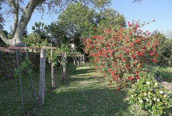 Luxury Detached House for rent in O Rosal, Spain